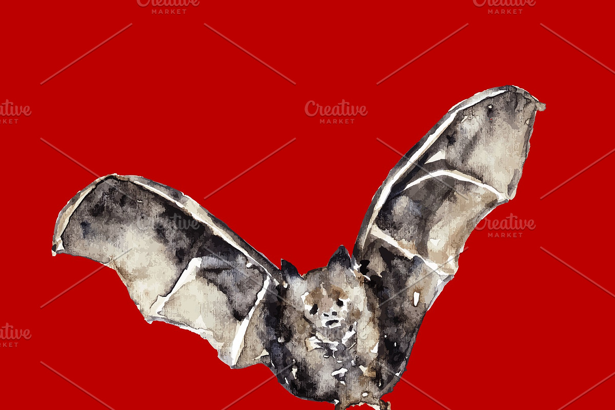 Vampire bats, watercolor/ink/vector, an Animal Illustration by Watercolor_Vector Graphic (Photo 17 of 22)