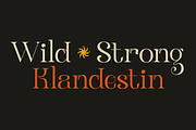 Klandestin Modern & Classical Serif, a Serif Font by Lettertype Studio (Thumbnail 2 of 20)