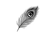 Peacock Feather Silhouette Bundle, an Illustration by jahid234 (Thumbnail 20 of 31)