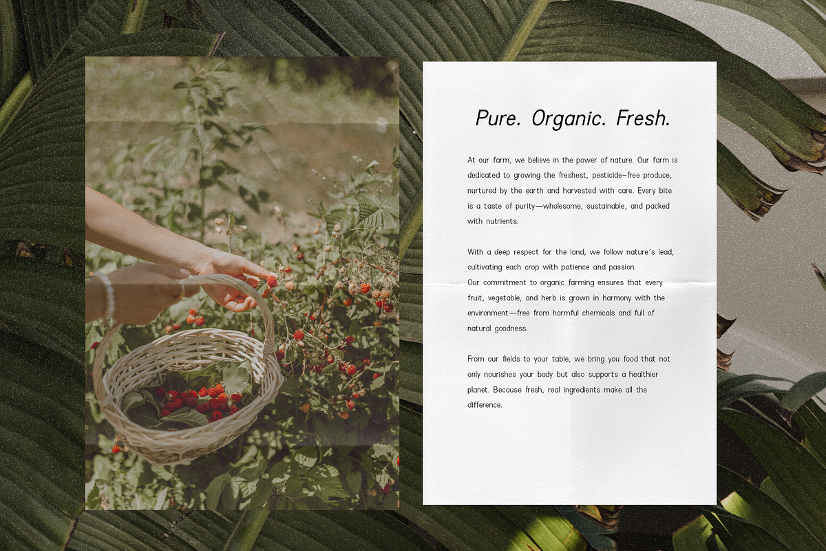 Rivoga Sans | Modern Organic Sans, a Sans Serif Font by The Gelato Type (Photo 12 of 14)