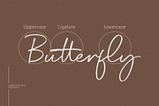 Angora, a Script Font by Omotu Studio (Thumbnail 7 of 12)