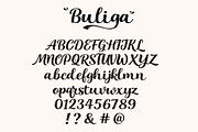 Buliga – Elegant Script Font, a Script Font by cocodesign (Thumbnail 8 of 9)