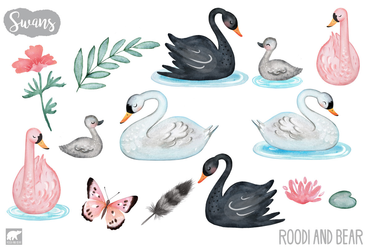 Watercolor Swans, an Illustration by Roodi and Bear (Photo 2 of 2)