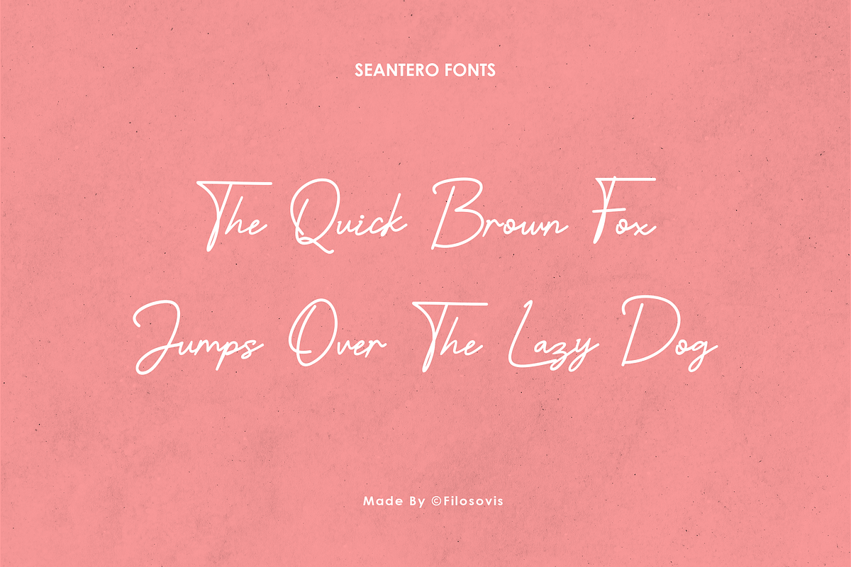 Seantero | Modern Script Font, a Script Font by filosovis (Photo 4 of 5)