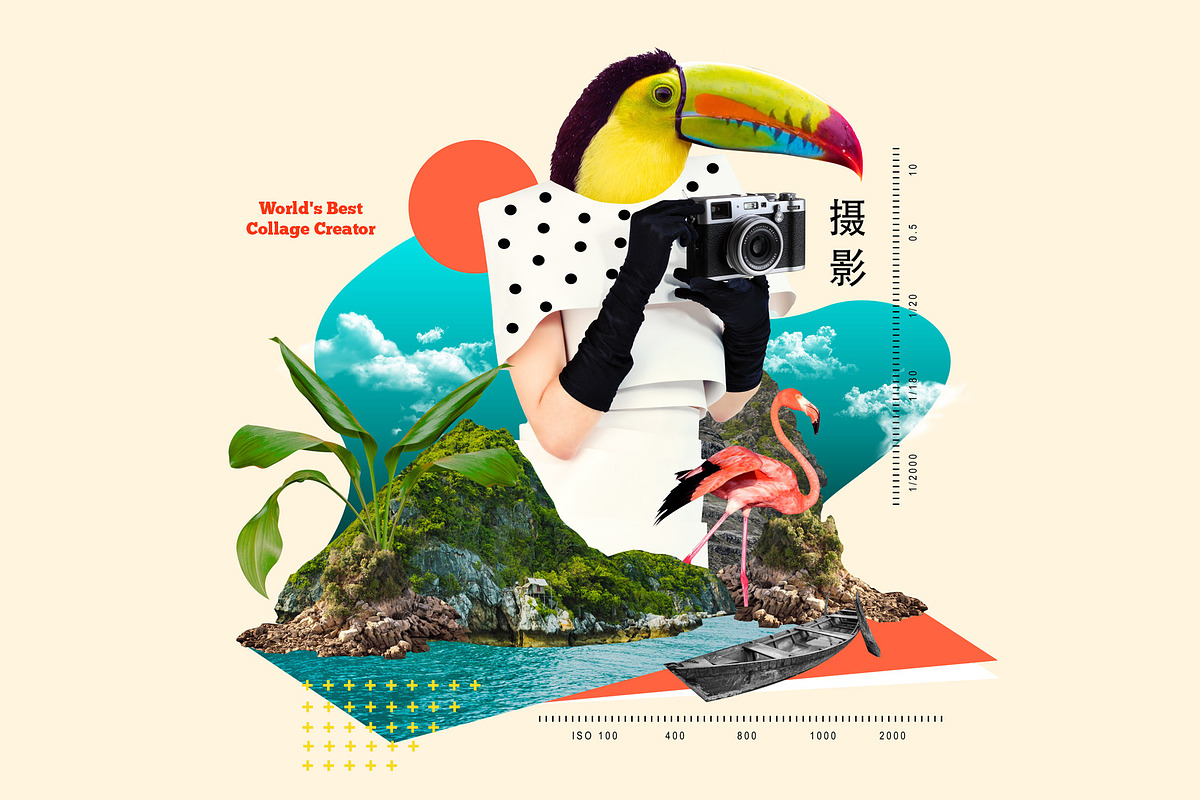 World's Best Collage Creator, an Animal Illustration by SNIPESCIENTIST (Photo 37 of 48)