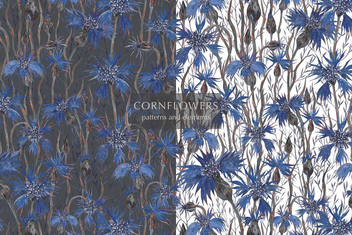 Pattern Cornflowers, an Illustration by PASHKOVA (Photo 13 of 14)