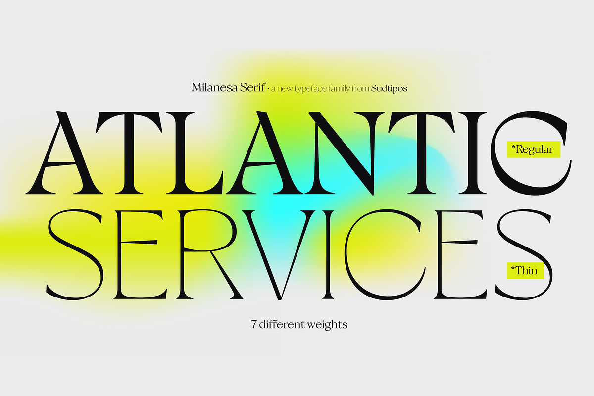 Milanesa Serif, a Font by Sudtipos (Photo 2 of 7)
