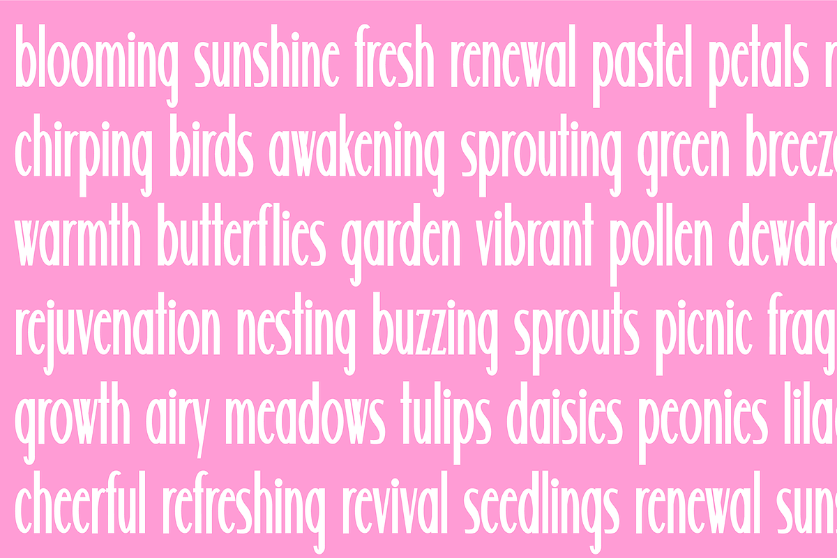 WILDFLOWER Modern Font, a Sans Serif Font by Blush Font Co. (Photo 2 of 3)