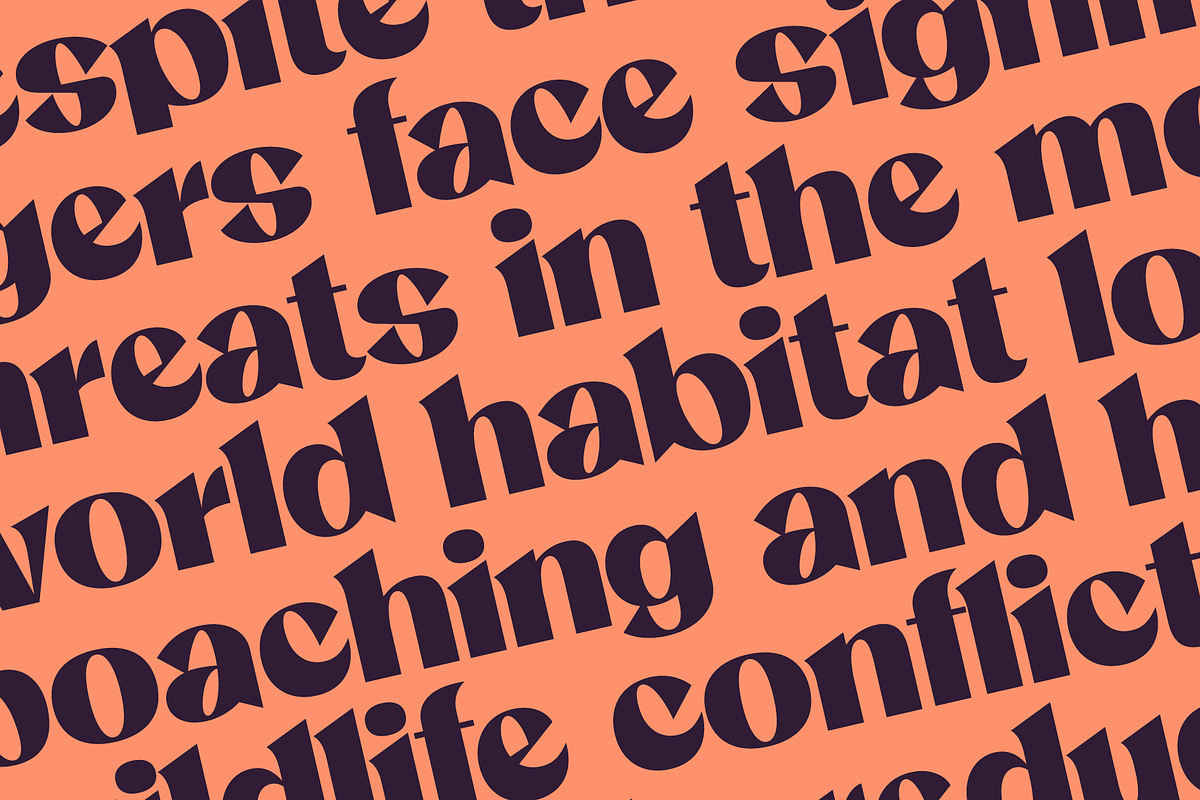 Claven; Sharp Serif Display Font, a Serif Font by Eko Bimantara (Photo 9 of 10)