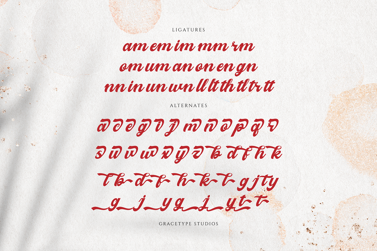 Melcostra | Handwritten Bold Script, a Script Font by gracetype_studio (Photo 12 of 12)