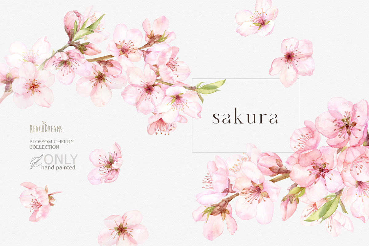 Blossoms Sakura Collection, a Decorative Illustration by ReachDreams (Photo 1 of 7)