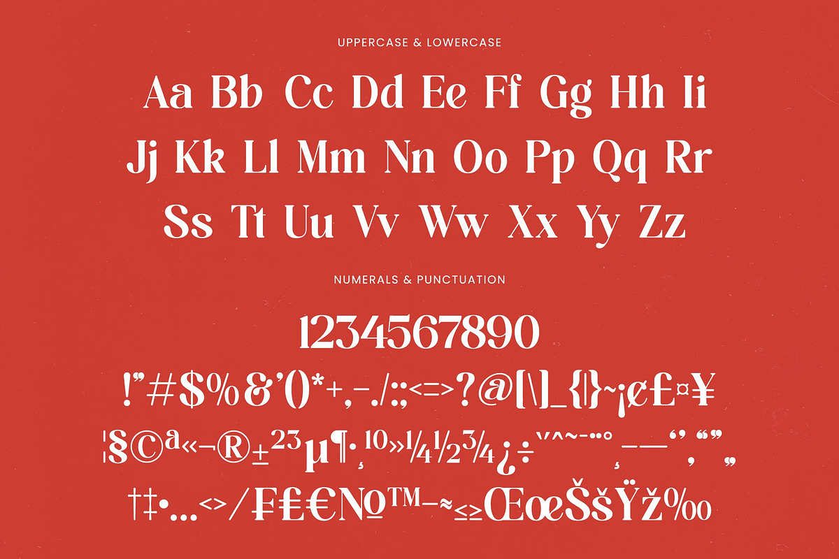 Beyond Wandler Modern Serif Font, a Serif Font by timelesstype.co (Photo 18 of 20)
