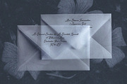 The Old Habit Vintage Script Font, a Script Font by AnMark (Thumbnail 12 of 13)