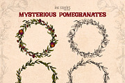 Mysterious Pomegranates Vintage Set, a Decorative Illustration by Ink Stories (Thumbnail 11 of 13)