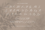 Bitter Love - Modern Calligraphy, a Script Font by Bale Type (Thumbnail 10 of 10)