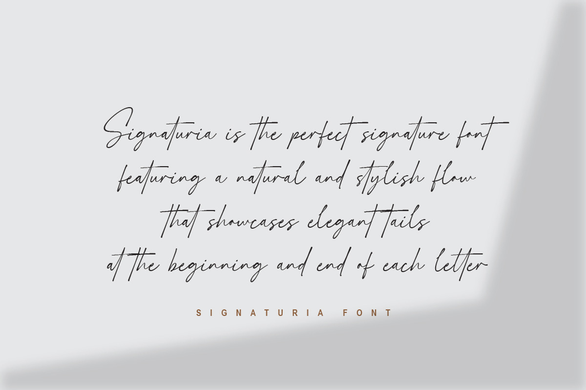 Signaturia - Handwritten Signature, a Script Font by Typebae (Photo 6 of 10)