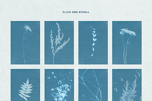 FLORAL Cyanotype Backgrounds