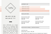 2 Page Resume Template for MS Word, a Resume Template by This Paper Fox (Thumbnail 4 of 5)