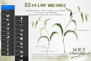 Watercolor Procreate brushes Botany, a Brush Add-On by Yuliya Derbisheva (Thumbnail 5 of 13)