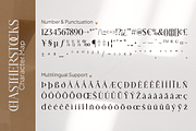 Chastherstocks Stylish Modern Font, a Serif Font by Vampstudio (Thumbnail 13 of 13)
