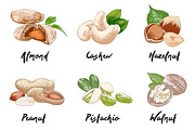 Set of 44 organic food sketches, a Food Illustration by Akimo Mia (Thumbnail 5 of 9)