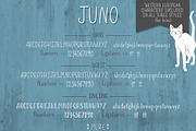 Juno, Friendly Font Trio, a Sans Serif Font by Cottonwood312 (Thumbnail 11 of 12)