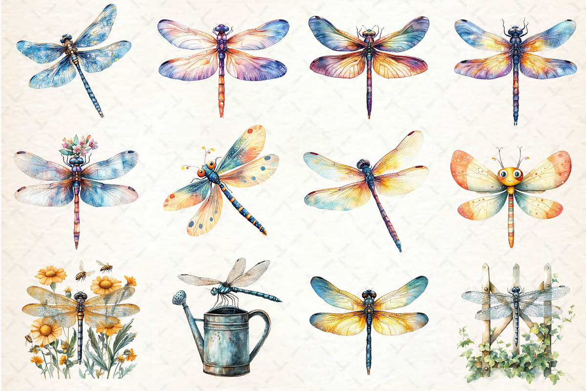 Summer Dragonfly Garden Clipart, an Illustration by Dream Creation (Photo 2 of 4)