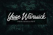 Yamosty - Script Monoline Font, a Script Font by twinstd (Thumbnail 6 of 7)