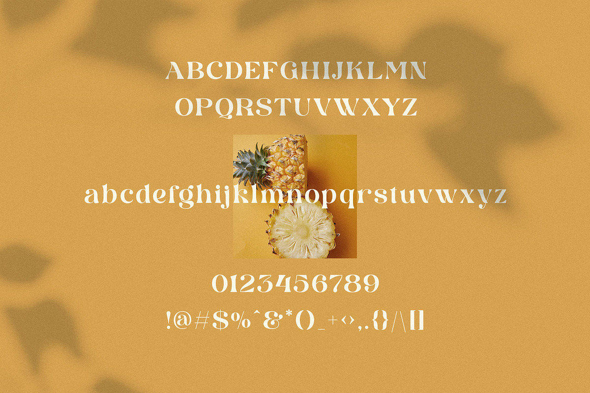 Glirock || Modern Ligature Serif, a Serif Font by BrandSemut (Photo 13 of 13)