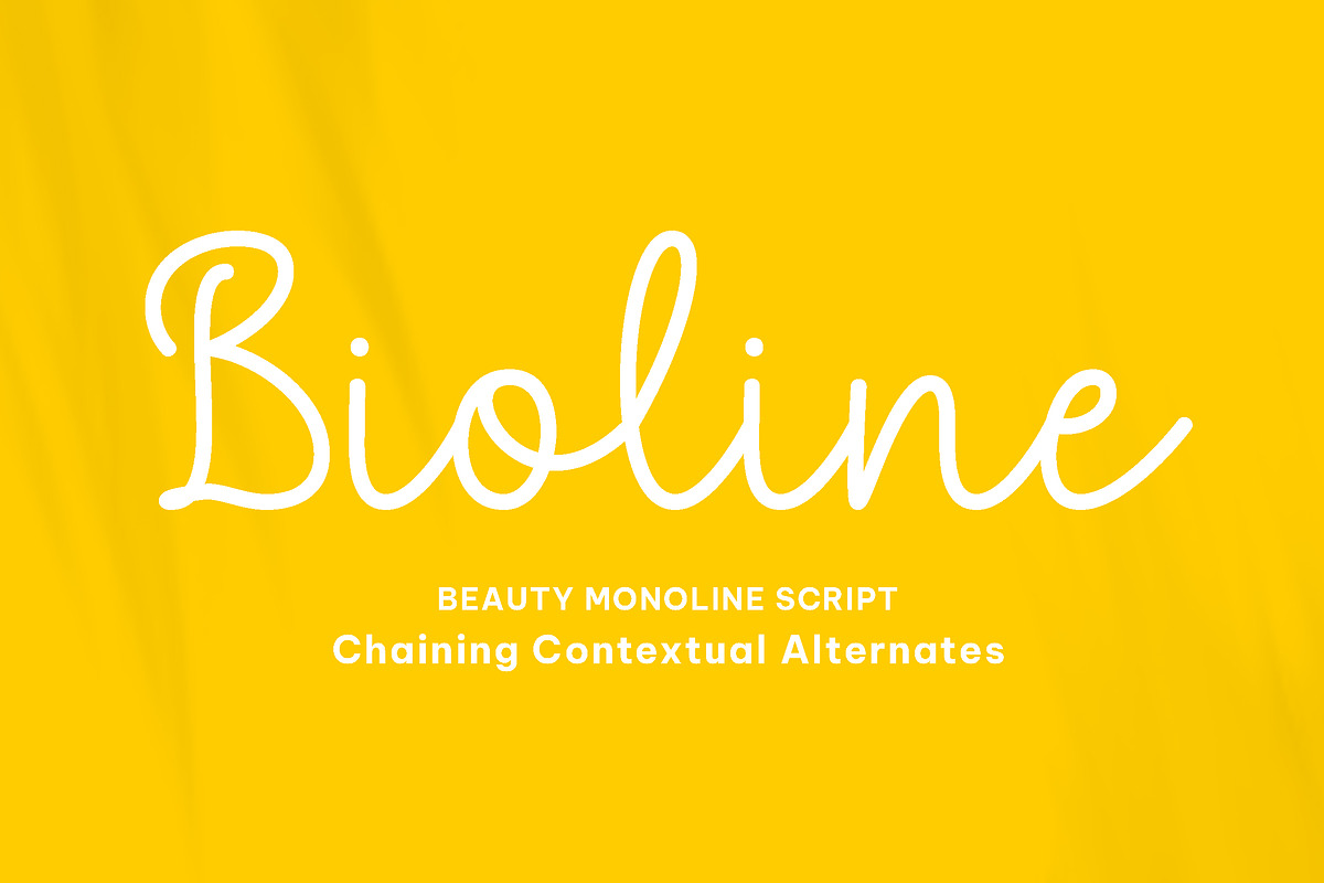 Bioline - Beauty Monoline script, a Script Font by Fontcastle (Photo 1 of 5)