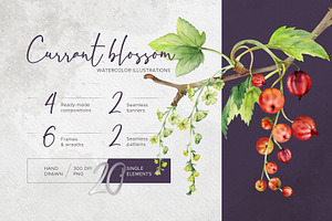 Currant blossom