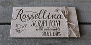 Rossellina, a Script Font by GRIN3 (Nowak) (Thumbnail 2 of 8)