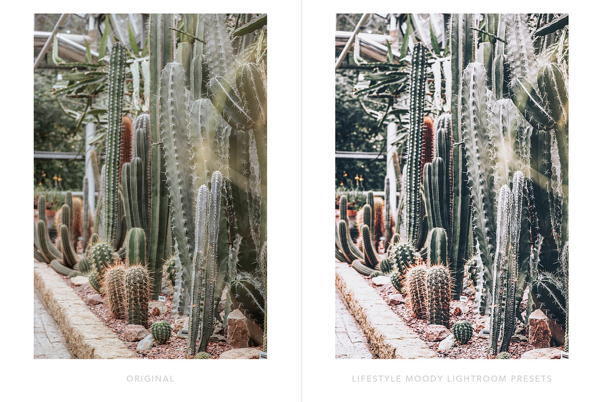 Moody Lifestyle Lightroom presets, an Action Add-On by BeArt-Presets (Photo 14 of 18)