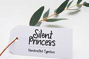 Silent Princess Script, a Handwritten Font by Melon Script (Thumbnail 1 of 2)