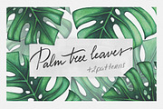 Palm tree leaves + patterns, a Decorative Illustration by Bigio Designs (Thumbnail 1 of 4)