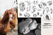 Ultimate meat set. Meat market, a Food Illustration by handsketched (Thumbnail 6 of 17)