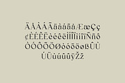 Reanointe Serif Display, a Serif Font by UICreative (Thumbnail 8 of 13)