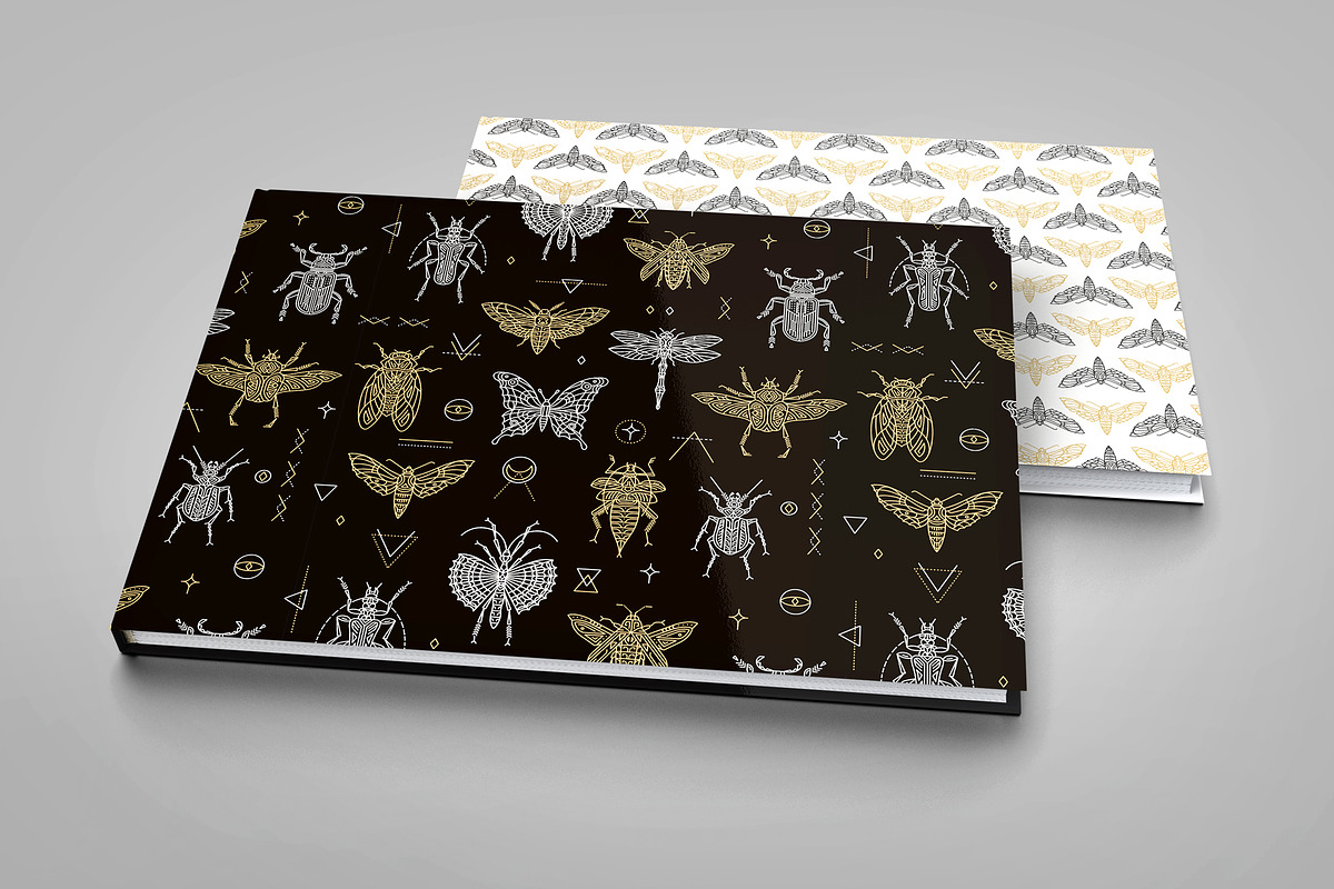 16 Insect symbols and 4 Patterns, an Outline Icon by Anna Smirnova (Photo 12 of 12)