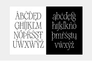 Silver Point–Elegant Editorial Serif, a Serif Font by Issam Type (Thumbnail 8 of 21)