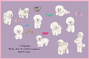 Bichon Frise Clipart Digital Paper, an Animal Illustration by VianneArt (Thumbnail 3 of 7)