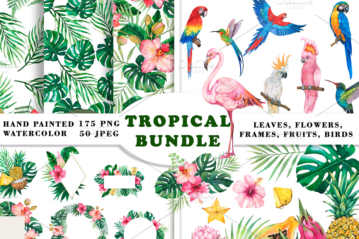 Watercolor Tropical BIG BUNDLE PNG, a Seasonal Illustration by PatternPalette (Photo 1 of 15)