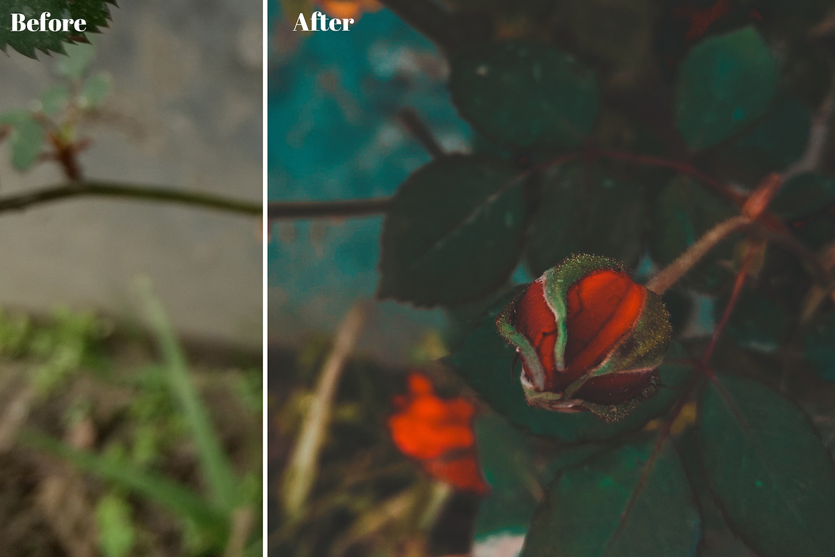 Orange and Teal Cinematic LUTs Pack, a Plug-in Add-On by Maple Visuals (Photo 3 of 7)