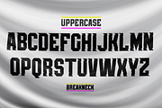 Breakneck Font Duo, a Sans Serif Font by Alphabet Agency (Thumbnail 9 of 12)