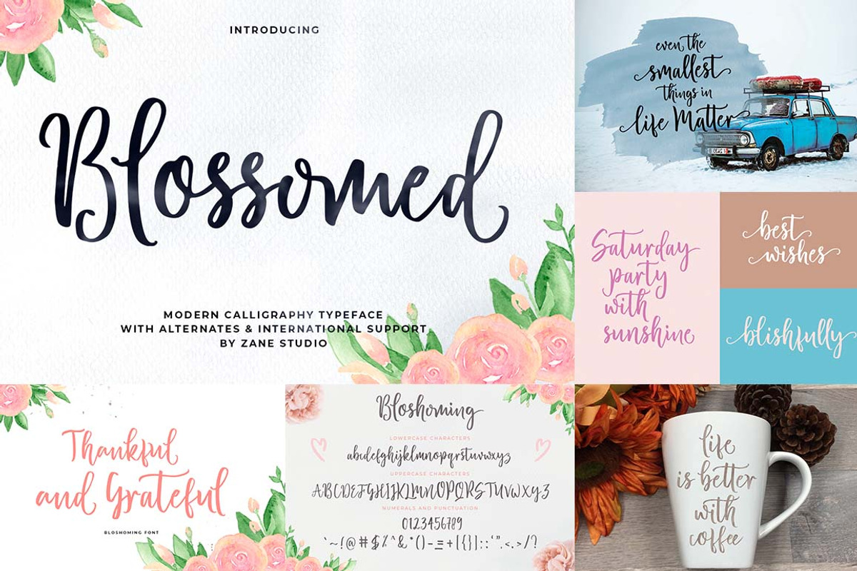 Font Collection Bundle, a Script Font by Zane Studio (Photo 11 of 21)