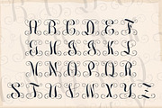 Inerlocking Vine, a Handwritten Font by Mini_World (Thumbnail 3 of 3)