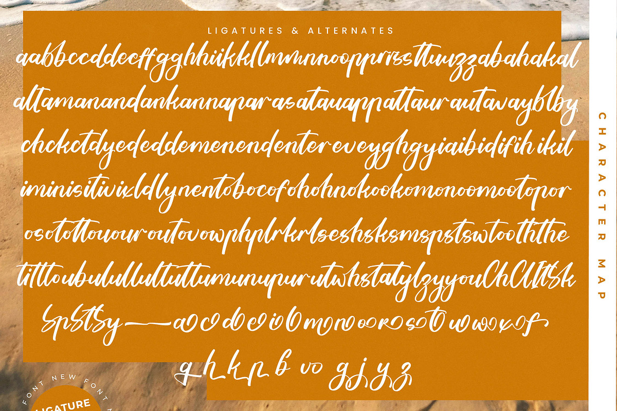 Tropical Crystals Bold Calligraphy, a Script Font by stylishtype.co (Photo 18 of 20)