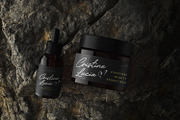 Frandy Font Duo Script Sans Serif, a Script Font by Maulana Creative (Thumbnail 5 of 7)