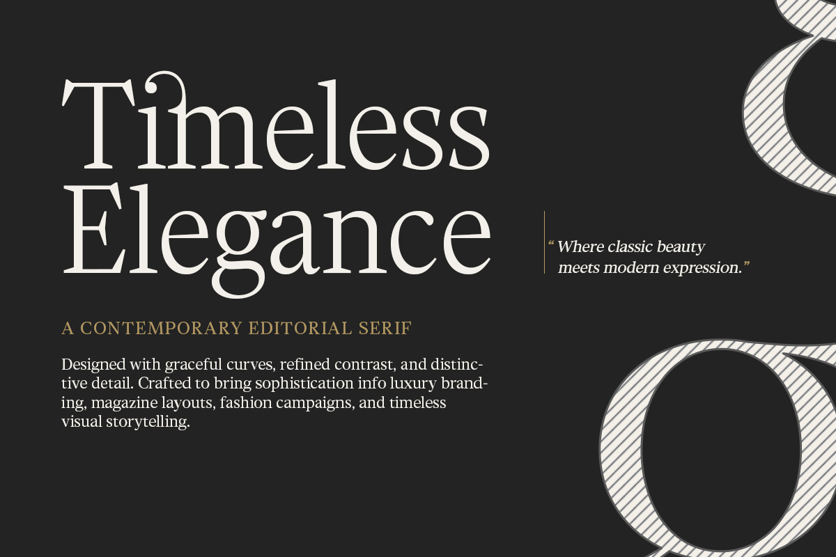 Chipno, a Serif Font by Attract Studio (Photo 5 of 16)