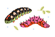 Cute caterpillars, funny larvas set, an Animal Illustration by Good Studio (Thumbnail 7 of 8)