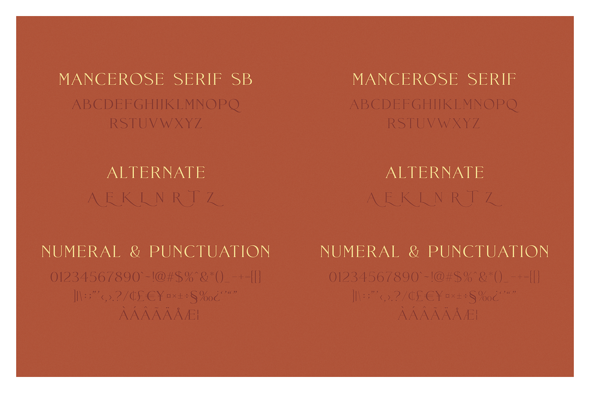 Mance Rose – Useful Pairing Fonts, a Script Font by RedyStudio (Photo 9 of 10)